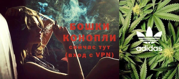 ГАЛЛЮЦИНОГЕННЫЕ ГРИБЫ Абдулино