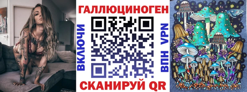 Галлюциногенные грибы Psilocybe  Гусиноозёрск 